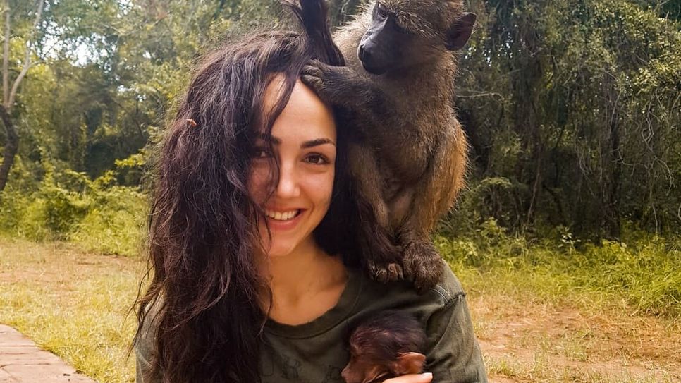 Michelle Schreiber reist regelmäßig nach Afrika, um dort zu helfen, die Affen auf ein Leben in Freiheit vorzubereiten. Foto: Marc Schreiber