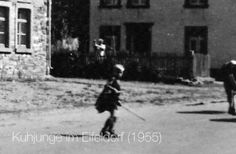 Ein Kuhjunge bei der Arbeit im Eifeldorf, 1955.