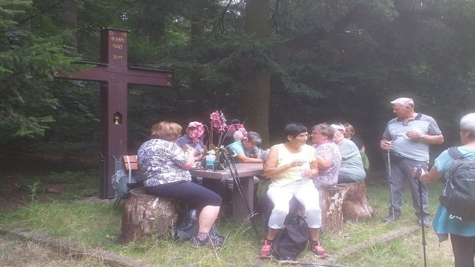 Die teilnehmenden Wanderer des Seniorenverbandes BRH Cochem blicken auf einenn gelungenen Tag zurück.