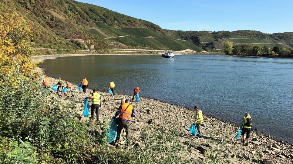 Das Obere Mittelrheintal ist wie in den vergangenen Jahren stark vertreten: zwischen Bingen / Rüdesheim und Koblenz werden 22 lokale CleanUps stattfinden.