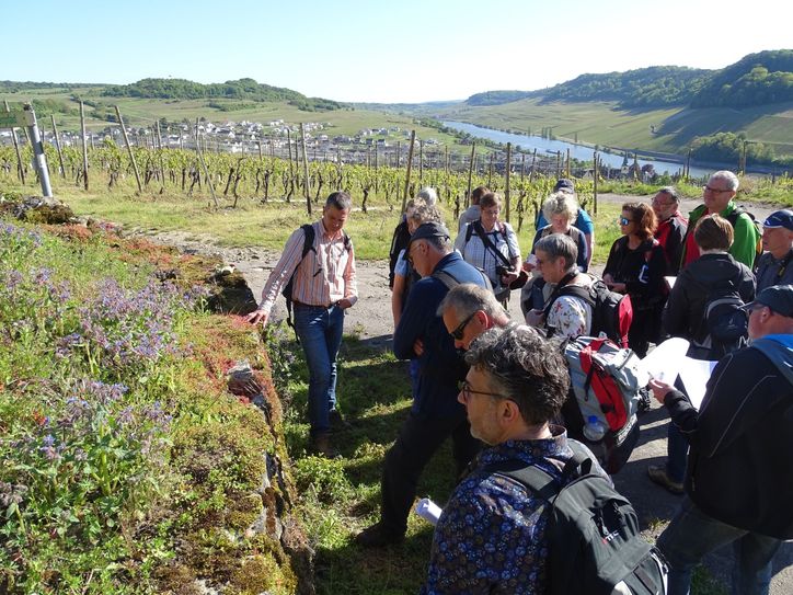 Botanische Exkursion in Nittel