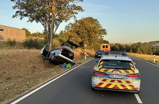 Der Fahrer eines Ford Fiesta kam von der Straße ab.