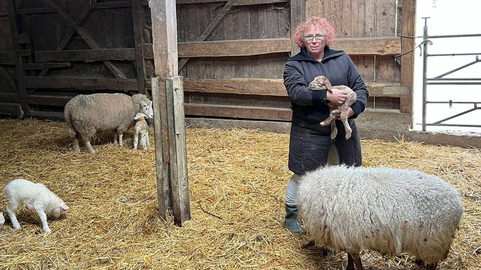 Elke Mießen hält Schafe und Lämmer seit dem Wolfsriss im Stall ihres landwirtschaftlichen Betriebes an der Triftstraße in Höfen.