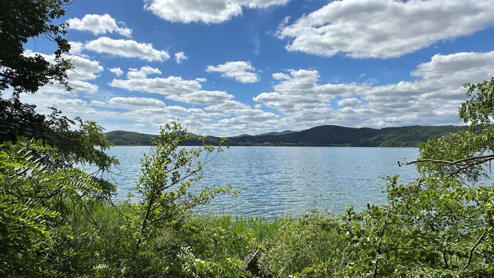 Der Laacher See wurde wieder einmal zum rheinland-pfälzischen Lieblingssee gewählt.