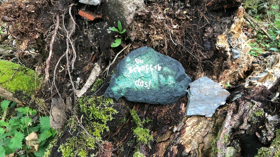 Bunt bemalte Steine locken in Corona-Zeiten zum Verteilen und Sammeln in die Natur. Foto: T. Förster