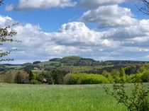 Blick auf den Michelsberg.