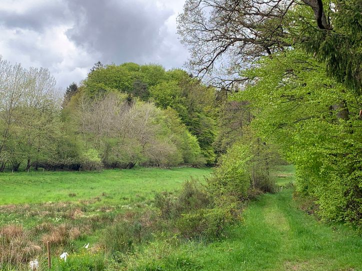 Idylle am Broehlinger Bach.