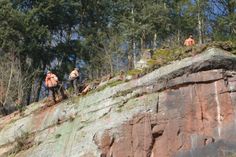 An Seilen gesicherte Bauarbeiter bohren Löcher in den Felsen in Pallien, um dann die Nägel für das Sicherungsnetz anzubringen. Foto: Presseamt