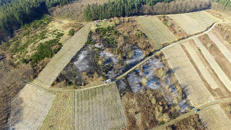 Flächenbrand in der Piesporter Weinbergslage "Im Jungenkarl".