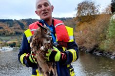 Feuerwehrmann Thomas Equit mit dem geretteten Uhu.