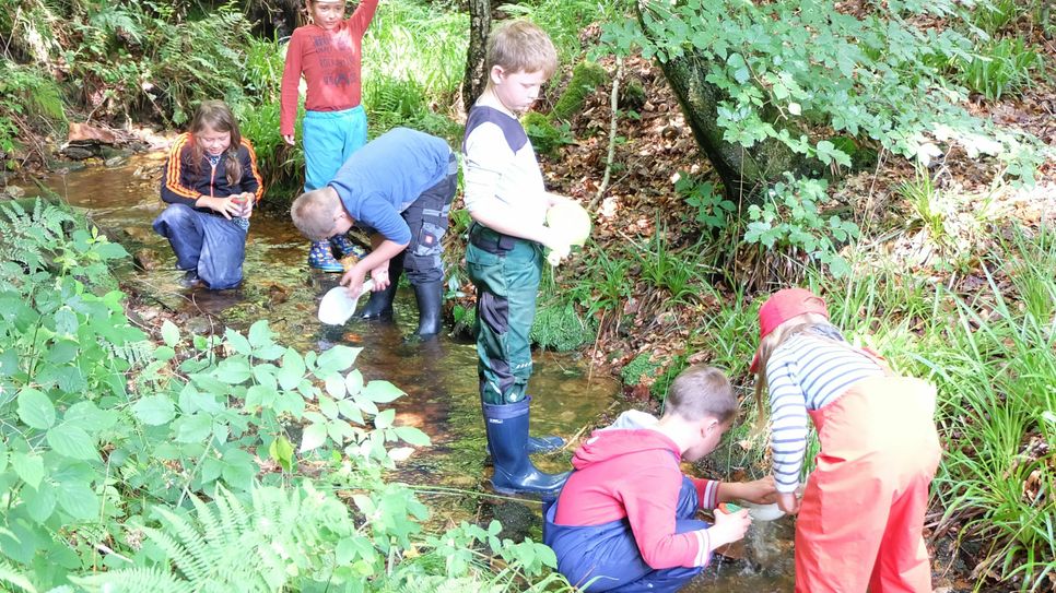 Die „Natur-Erlebnis-Tage“, organisiert von der Jugendpflege der Verbandsgemeinde Kell am See, fanden vom 24. bis 28. Juli 2017 in der Nähe der Ruwerquelle im Keller Wald statt. Foto: FF