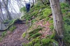 Idyllische Pfade führen an den Hängen entlang.  NAE-Foto