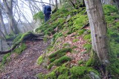 Idyllische Pfade führen an den Hängen entlang.  NAE-Foto