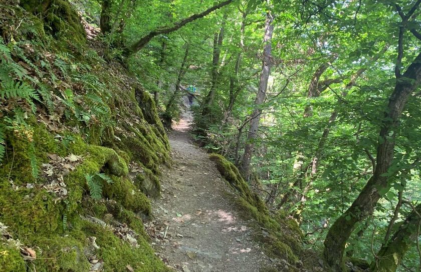 Aus dem alpinen Dortebachtal geht es zum stillen Pommerbach.