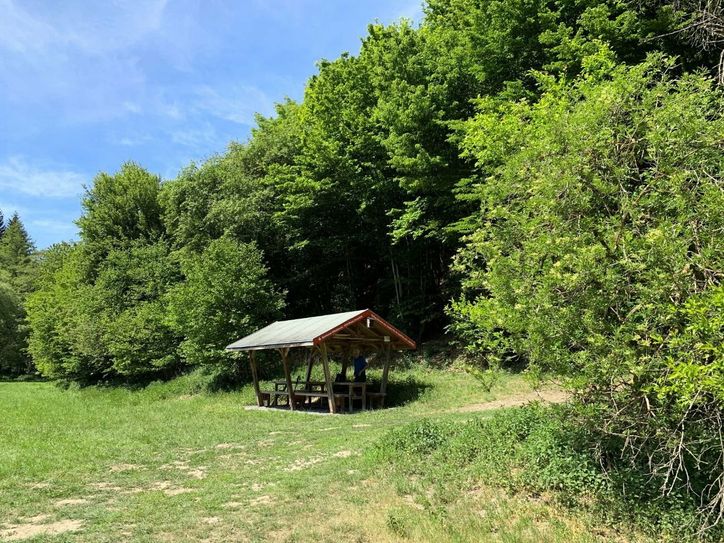 Rasthütte bei der Klosterruine Rosenthal.