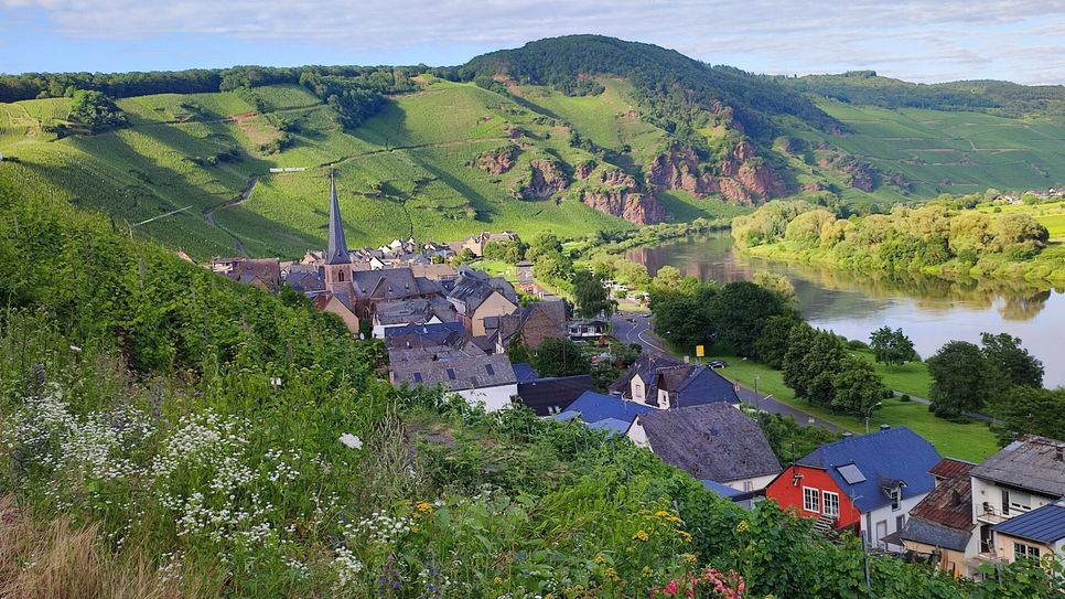 Offene Keller locken am Pfingst-Wochenende wieder in die Moselgemeinde Ürzig.