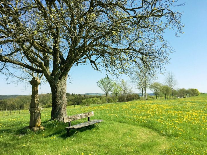 Altes Wegkreuz mit Bank bei Ripsdorf.