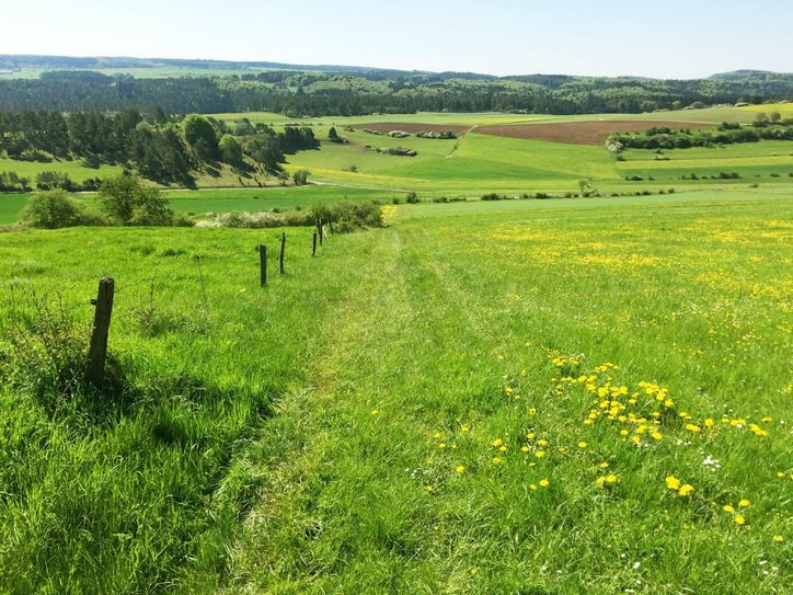 Herrliche Graswege mit weiten Ausblicken - eine Besonderheit der Tour.