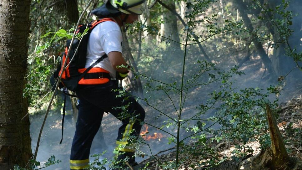 Immer wieder musste die Feuerwehr zu Bränden im Waldgebiet zwischen Hausen und Blens ausrücken. Foto: Feuerwehr Heimbach