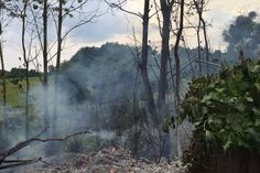 Ein Pilot entdeckte in einem Hinterhof in Hetzerath einen Flächenbrand. Foto: Agentur Siko