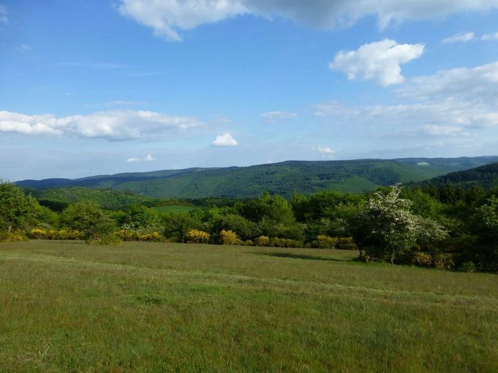 Rundumsicht auf dem Steinerberg.