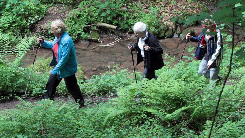 Bei der Eröffnung des Rundwegs kann am Samstag nach Herzenslust gewandert werden. Foto: FF