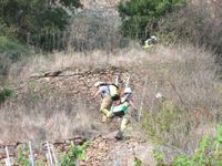 Feuerwehren, die Bergwacht und ein Rettungshubschrauber aus Luxemburg retten einen verletzten Kletterer aus dem Rotenfelsmassiv.