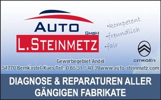 Autoexperten / Diagnose und Reparaturen