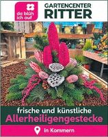 Titelanzeige Allerheiligen
