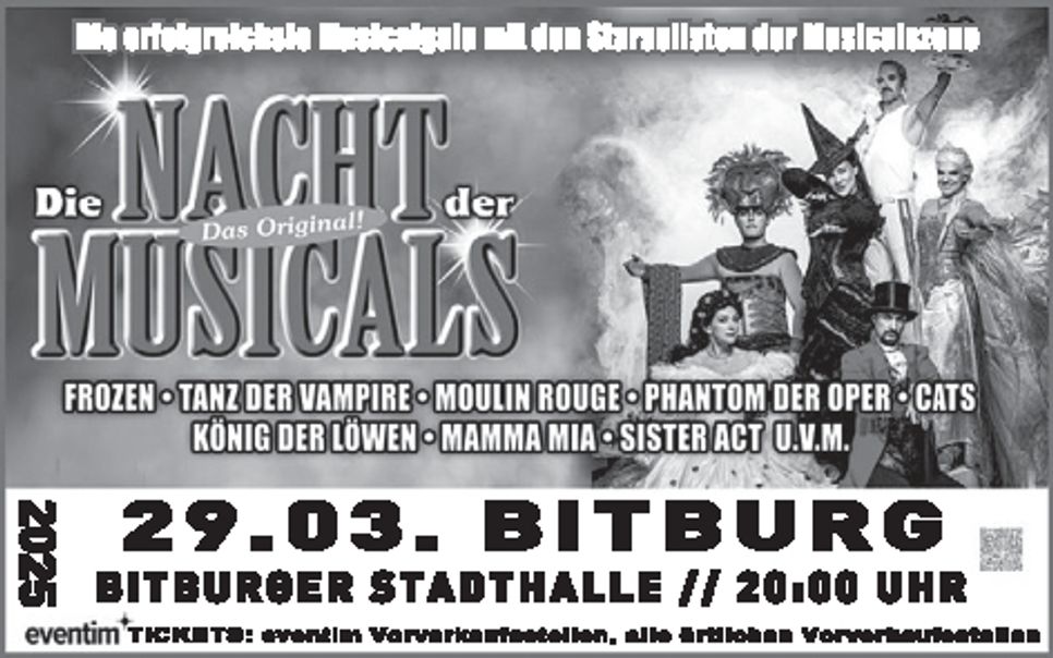 Die Nacht des Musicals Bitburg