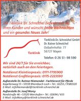 Weihnachtsgruß 2024