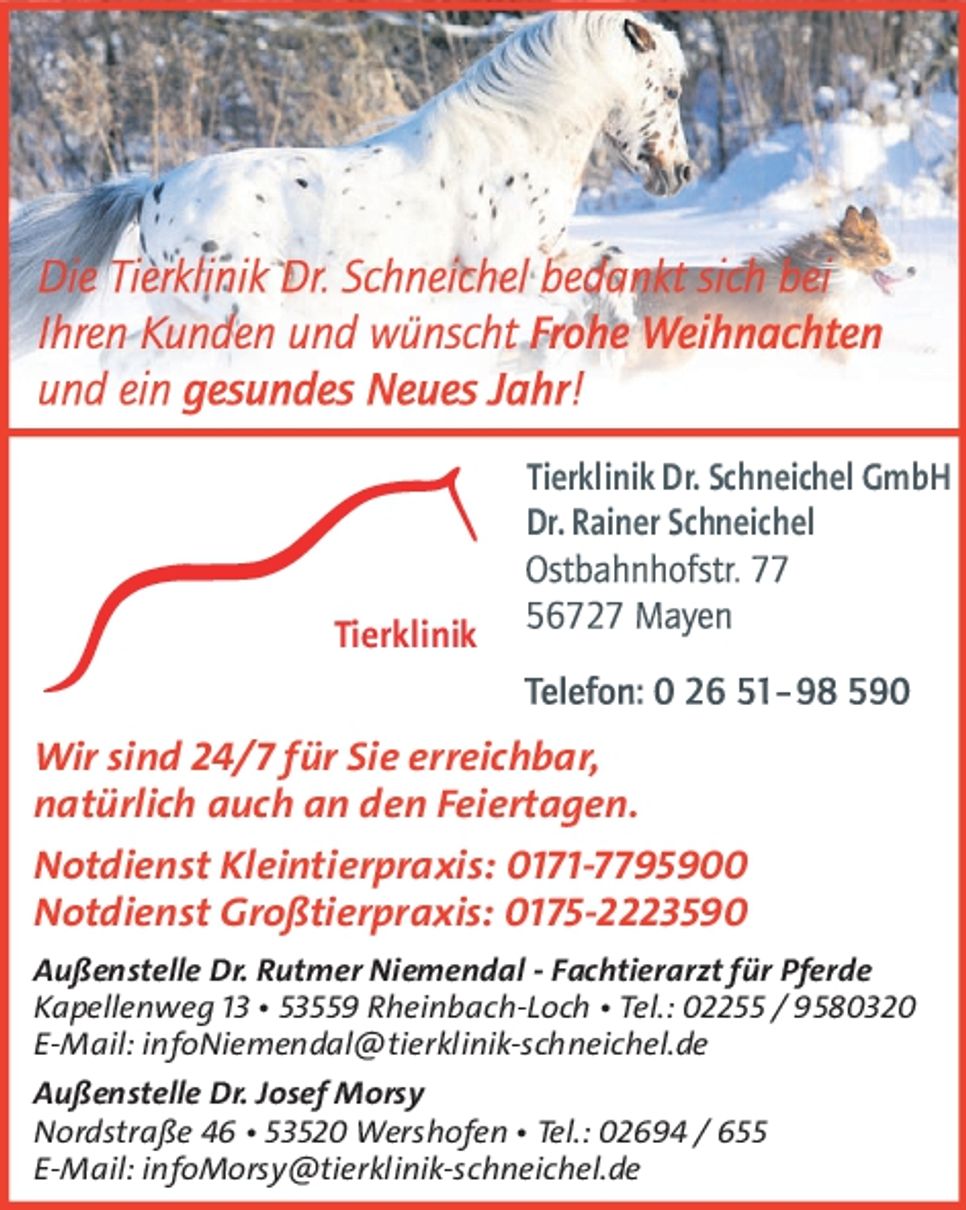 Weihnachtsgruß 2024