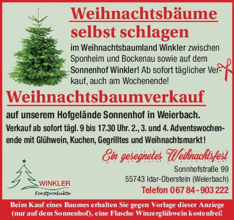 Weihnachtsbäume selbst schlagen