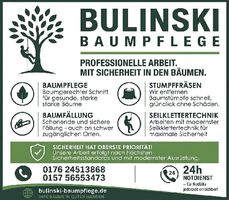 Baumpflege