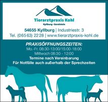 Adventlicher Stiftsberg Kyllburg