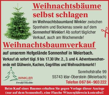 Weihnachtsbäume selbst schlagen