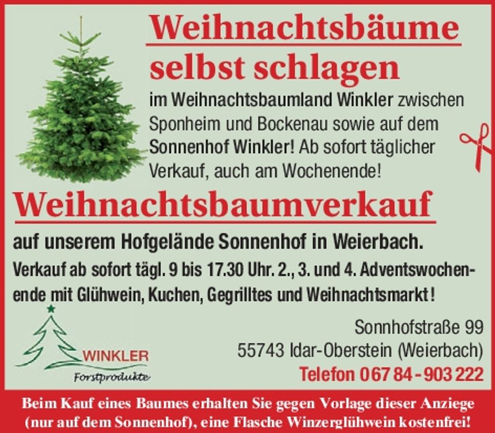 Weihnachtsbäume selbst schlagen