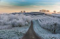 Im Winter entfaltet die Kulturlandschaft an der Mosel mit Weinbergen und alten Feldrainen ihren ganz besonderen Charme. Bildquelle: Fotolia, © midgardson